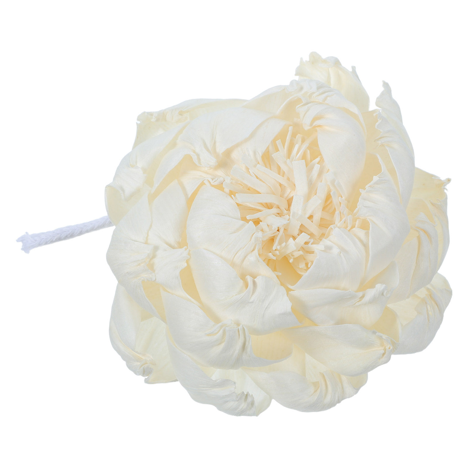 Peony Head Fragrance Diffuser  - Home Fragrance Usa ulasan dan harga