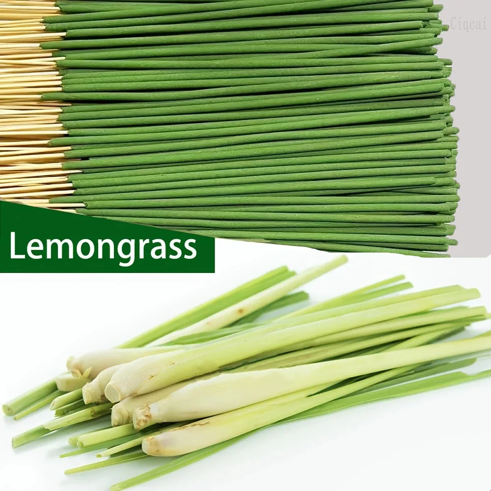 Reed Diffuser Sticks Lemongras - Home Fragrance Oud ulasan dan harga
